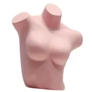 Female Mannequin Torso Professional Model Prop Underwear Display Stand for Home