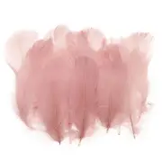 Colorful Feathers 3-5inch, 300pcs Goose Feathers Bulk, Light Pink