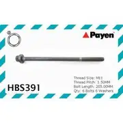 Payen Cylinder Head Bolt Set - HBS391