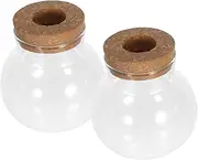 Milisten 2pcs Hydroponic Plant Vases Terrariums for Desktop Decoration Decorative Flowerpots for Home and Office for Small Plant Cultivation and Propagation