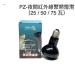 二手PETPETZONE夜間紅外線聚熱燈泡+燈罩 50W