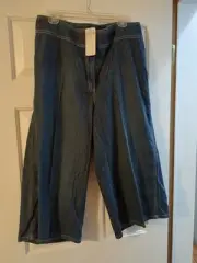 Chico's Women's Platinum Zircon Gaucho