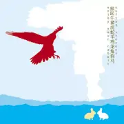 Enjoy Your Rabbit by Sufjan Stevens (Record, 2014)