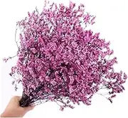 Natural Fresh Dried Preserved Forget Me Flowers Real Forever 60cm Lover Grass Branch for Home Decor Limonium Statice(Purple)