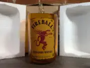 Fireball Cinnamon Whisky Promotional Cut Bottle Tip Jar Coin Bank Vase