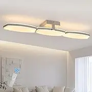 Jiinoo Modern LED Ceiling Light, 23W Dimmable Kitchen Flush Mount Ceiling Light with Remote, 3000K-6500K Color Temperature, 1800LM, Energy-Saving Lighting for Bedroom, Living Room, Hallway