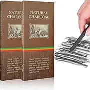 20 PCS Charcoal Sticks, 3-5mm Black Willow Charcoal, Drawing Tools Charcoal Pencils for Artists Students and Hobbyists