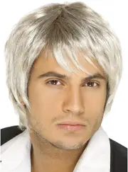 Boy Band Mens Brown and Blonde Costume Wig
