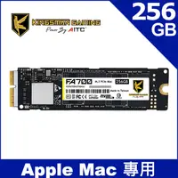 在飛比找PChome24h購物優惠-AITC 艾格 FA700 Mac SSD 256GB M.