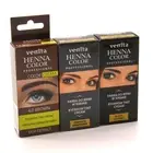 Venita EYEBROW PROFESSIONAL TINT KIT CREAM