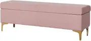 Storage Ottoman Stool Light Luxury Foot Sofa Iron Bench Rectangular Bed End Shoe Bench Clothing Store Nordic Storage Footstool(Pink,60x43x45cm)