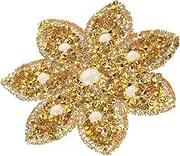 LIFKOME Crystal Rhinestone Iron Flower Applique Patch for Clothing Flower Decorative Patch for Bridal Sashes Wedding Costumes and DIY Craft Projects