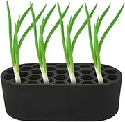Spring Onion Pot - Sprouts Set & Keimlings Starter Kit | Hydrocultivation system for indoor with Planter for and household system microgrün