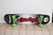 Dr. Skateboard Bill Robertson Pro Style Stick Complete