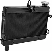 Rynplex Motorcycle Engine Radiator Cooling Cooler, for Rebel 300 CMX300 2017-2020 Motorcycle Engine Radiator