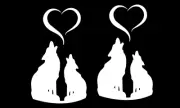 Howling Wolves Heart Two Vinyl Decals Car Tumbler Laptop Tablet Notebook Window