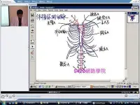 在飛比找Yahoo!奇摩拍賣優惠-【9420-966】人體解剖學   教學影片- (共85 堂