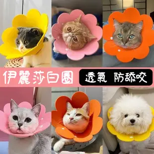 🐾24H出貨🐾太陽花項圈 伊莉莎白圈 防咬圈 防舔 頭套 太陽花圈 伊莉莎白圈 貓頭套 貓咪頭套 防舔圈