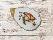 Sea Turtle Decoupage Oyster Shell Ring Dish – Coastal Decor / Jewelry Holder