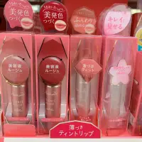 在飛比找蝦皮購物優惠-一緒日本代購🇯🇵 ParaDo 超顯色 水潤 櫻花妹的新寵 
