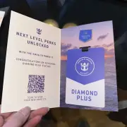 NEW ROYAL CARIBBEAN DIAMOND PLUS MEMBER Pin & D+ LUGGAGE TAG