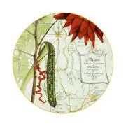 Vista Alegre Amazonia Charger Plate