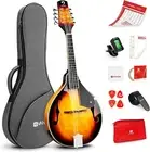 Complete 8-String Mandolin Set - Premium Sound, Easy to Tune, Gig Bag Included
