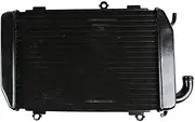Rynplex Motorcycle Radiator Water Cooler Cooling, for Goldwing GL1800 2006-2017 F6B 2013-2017 Motorcycle Engine Radiator