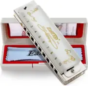 Harmonica Key of C 10 Hole 20 Tone Professional Diatonic Blues Harp for Adults B