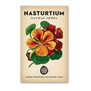 Little Veggie Patch Heirloom seeds - nasturtium double jewel