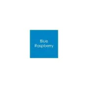 Gina K Designs Envelopes - Blue Raspberry