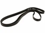 For 1988-1991 Ford E250 Econoline Multi Rib Belt Dayco 61191DS 1989 1990 5.8L V8 (for: Ford)