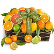 Get Well Soon Sweet Sunshine Citrus Fruit Basket Gift