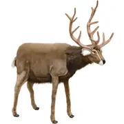 [Hansa] Deer Plush Toy 120cm