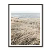Ocean Grass Framed Printed Wall Art - Black