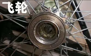 自行車單速齒輪兒童車折疊車用齒輪12022牙