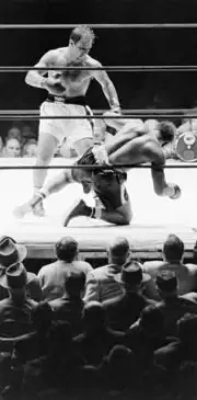 Rocky Marciano Knocking Down Archie Moore 1955 Old Boxing Photo