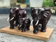 Beautiful Carving Hand Carved Wood Elephants Amber Figurine Uniqe Home Decor Gif