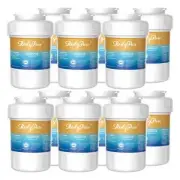 12 Pack Fit for GE MWF GWF WS613B CLCH102 FMG RWF1060 Refrigerator Water Filter