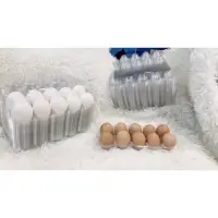 在飛比找蝦皮購物優惠-台灣現貨 高品質雞蛋易扣盒包裝盒 雞蛋收納盒 透明蛋盒 雞蛋
