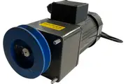 DIZZY LAMB Motor 240V 5RPM (100 KGS Capacity) 90W - MO19