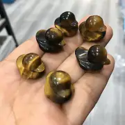5pcs Natural Tiger's eye quartz Carved crystal Duck skull reiki healing Random