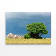 Serengeti National Park Tanzania Print 100% Australian Made 75 x 50cm (Stretched)