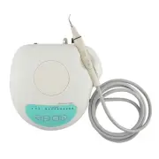 BEST Dental Piezo Ultrasonic Scaler Perio Endo Tips Handpiece Fit EMS AU