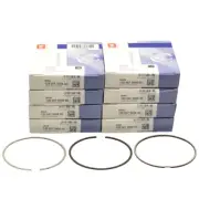 BMW & ALPINA 4.4 PETROL V8 S63B44A S63B44B PISTON RING SET MAHLE X8 CYLINDERS M5