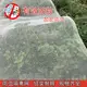 尼龍紗窗布防塵防蚊防蟲家用加密紗網結實耐用防蟲網加厚尼龍網布