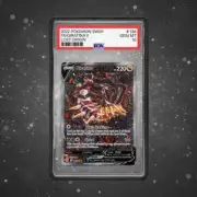 GradedGuard PSA Graded Case Guard Protector MIDNIGHT Limited Edition
