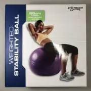 Fitness Gear Weighted Stability Exercise Ball NIB - 65 cm Dia., 1,000 lb rated