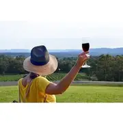 Save 15.00%! Hunter Valley Premium Wine Tasting - Private Group Tours