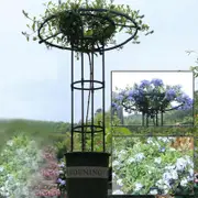 Garden Trellis For Climbing Plants And Flowers, Metal Plant Trellis For Outdoor Use 90cm